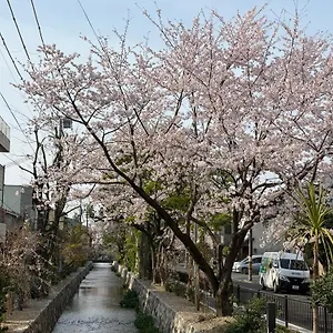 初音 홈스테이